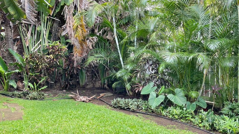 2 Bedroom 1 Bath Unit in Tranquil Nuuanu Valley property image