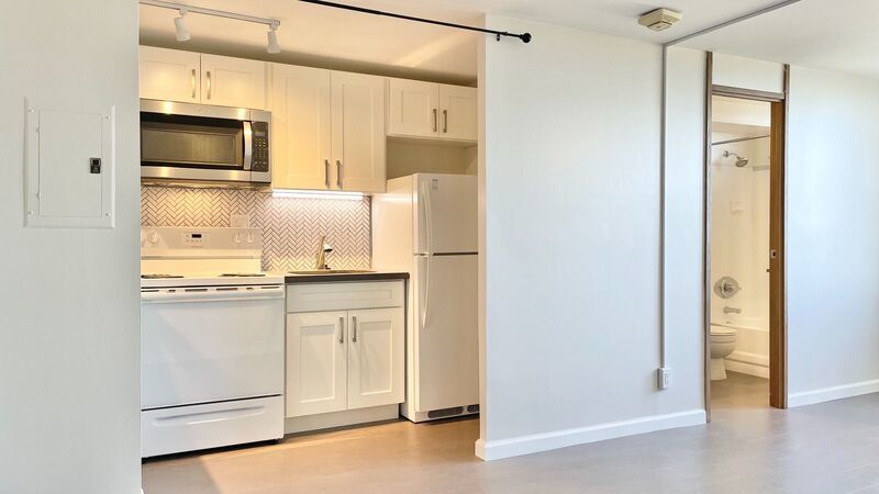 NEWLY RENOVATED, CITY & OCEAN VIEWS - Studio Unit in Pearl City property image
