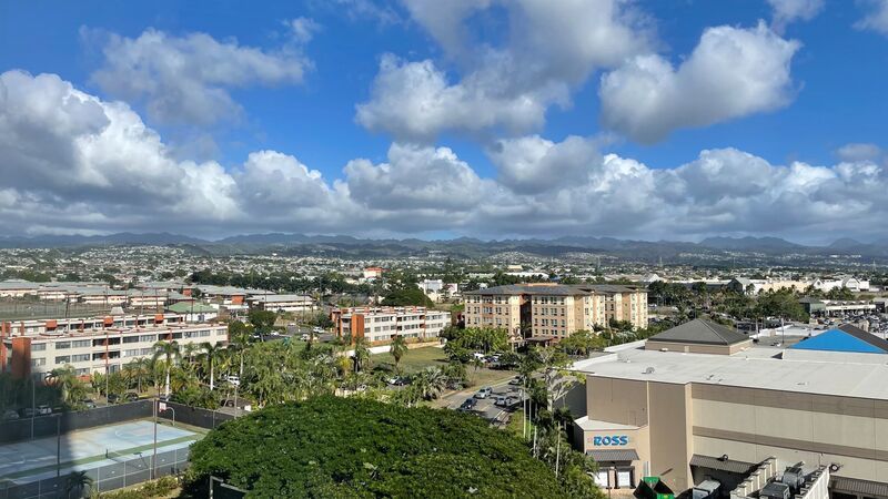 NEWLY RENOVATED, CITY & OCEAN VIEWS - Studio Unit in Pearl City property image