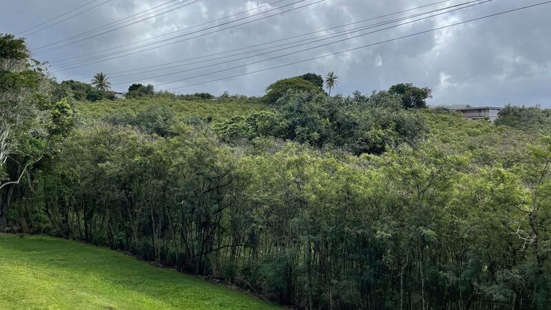UPDATED 3 BEDROOM WITH 2 CAR GARAGE IN AIEA property image