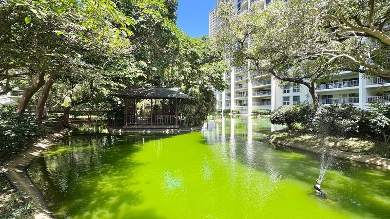 CONVENIENTY LOCATED AND SPACIOUS 2BD/2BA CONDO UNIT - WAIKIKI property image